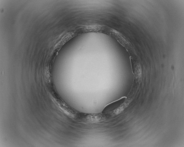 X0000068770764200605191648