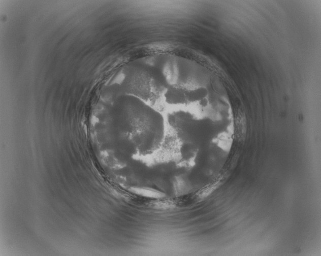 X0000068770765200605191648