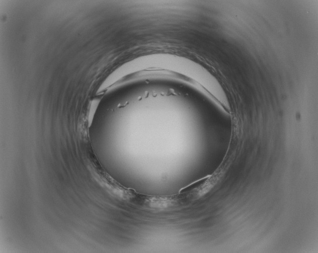 X0000068770766200605191648