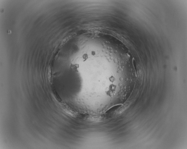 X0000068770767200605191648