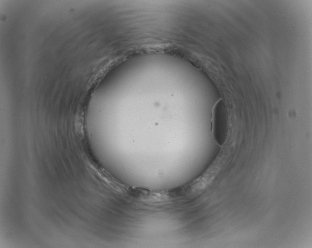 X0000068770768200605191648