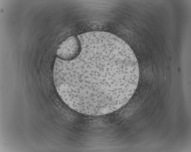 X0000068770769200605191647