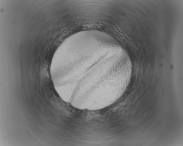 X0000068770770200605191647