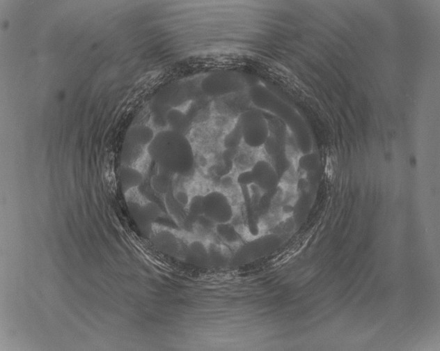 X0000068770771200605191647