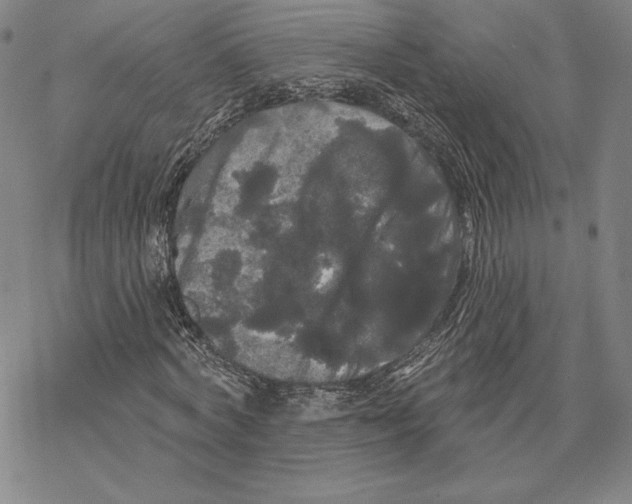 X0000068770772200605191647