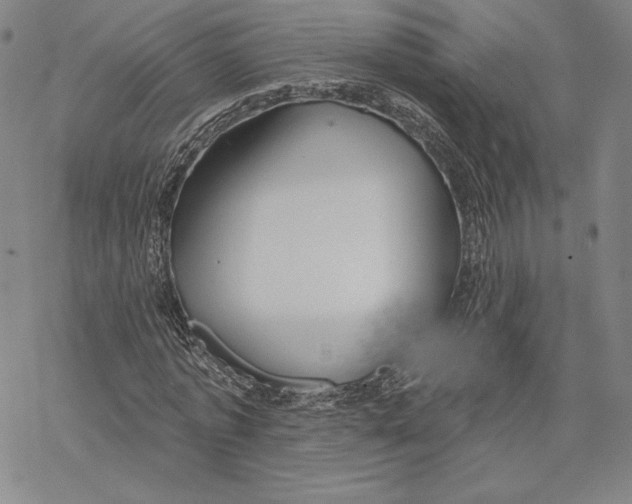 X0000068770773200605191647