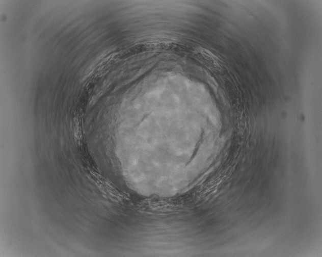 X0000068770774200605191647