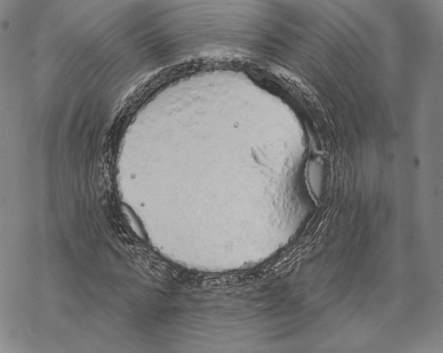 X0000068770776200605191647