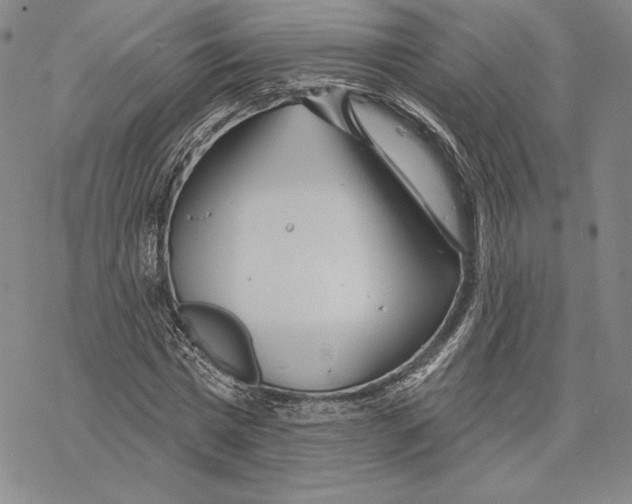 X0000068770777200605191647