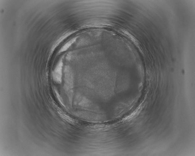 X0000068770779200605191647