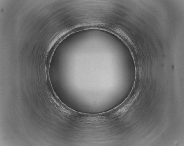 X0000068770781200605191647