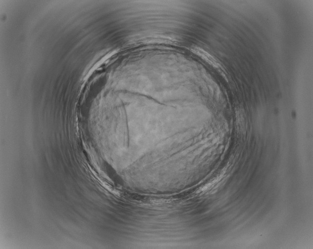 X0000068770782200605191647