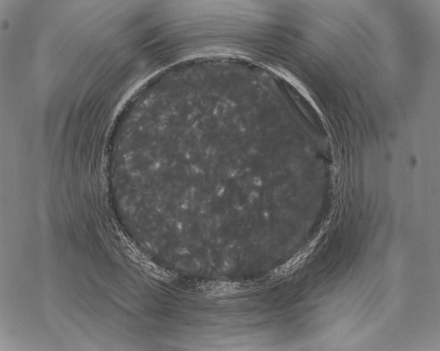 X0000068770783200605191647