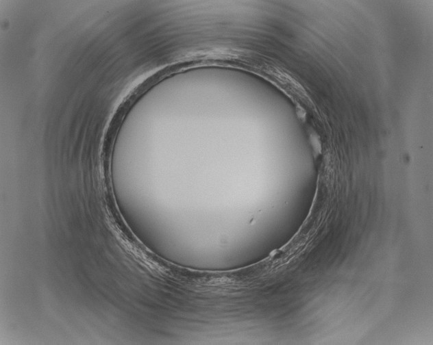 X0000068770784200605191647