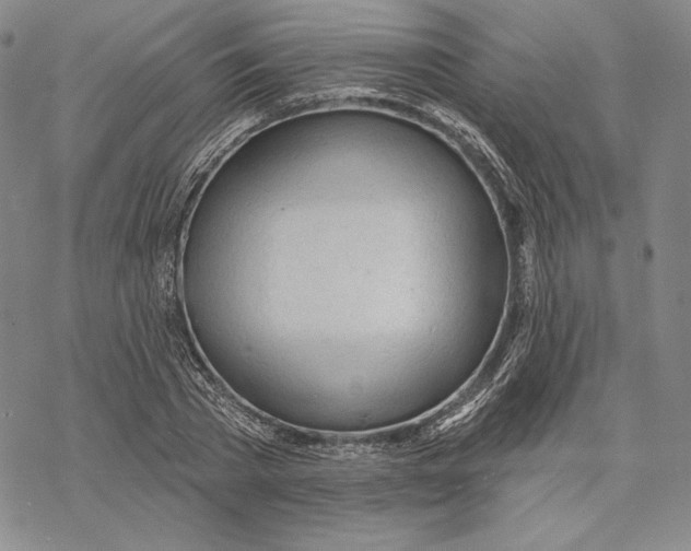 X0000068770785200605191647