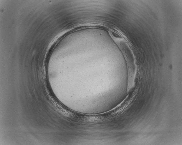 X0000068770787200605191647