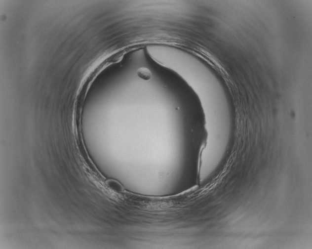 X0000068770788200605191647