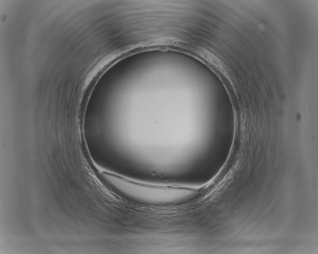 X0000068770789200605191647