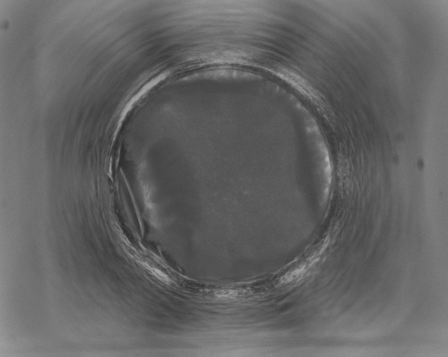 X0000068770790200605191647