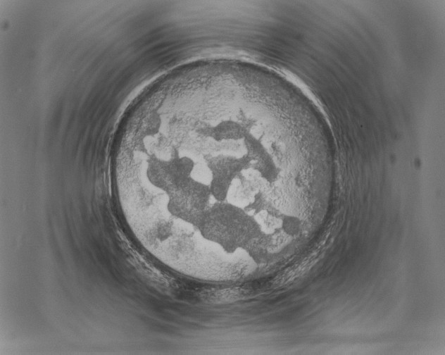 X0000068770791200605191647