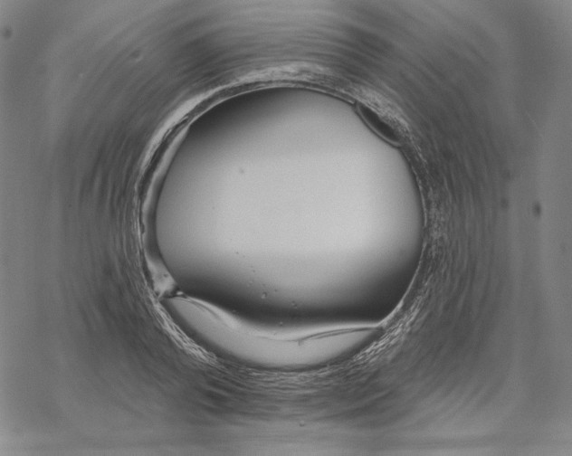 X0000068770792200605191647