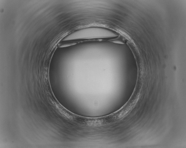 X0000068770793200605191647