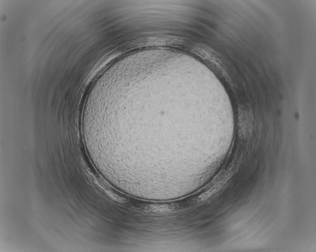 X0000068770794200605191647