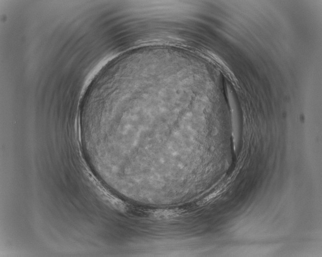 X0000068770796200605191647