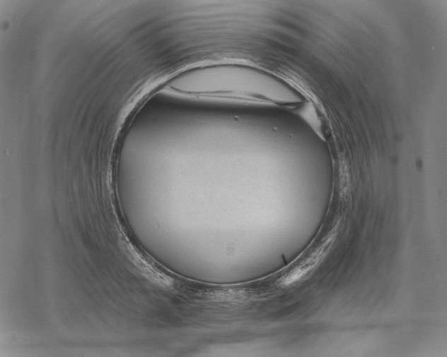 X0000068770797200605191647