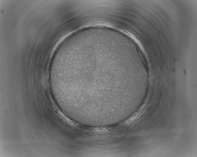 X0000068770799200605191647