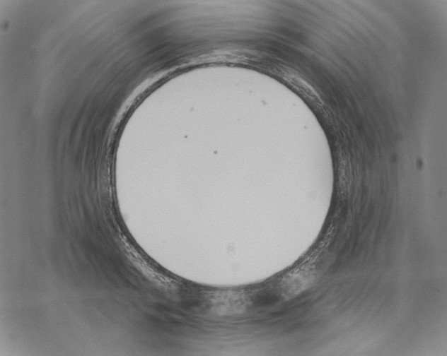 X0000068770800200605191647