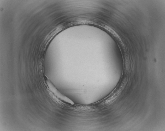 X0000068770801200605191647