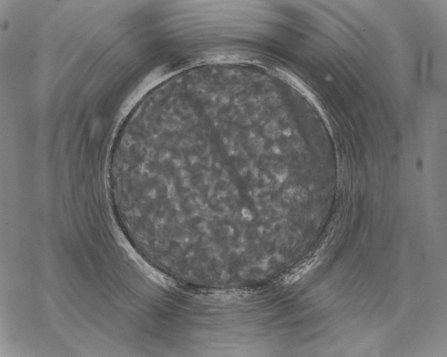 X0000068770803200605191647