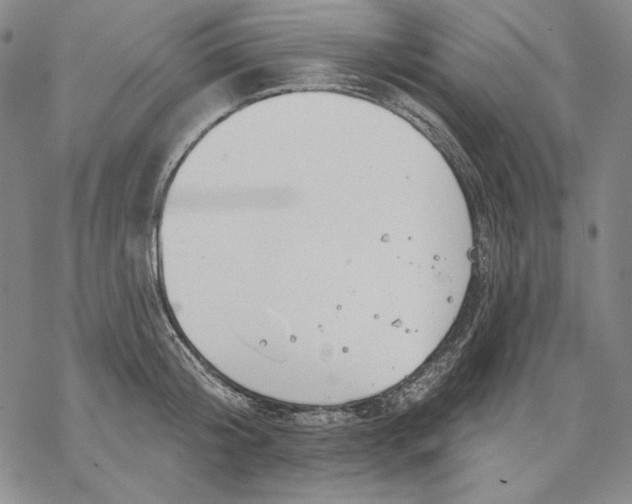 X0000068770804200605191647