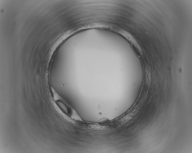 X0000068770805200605191647