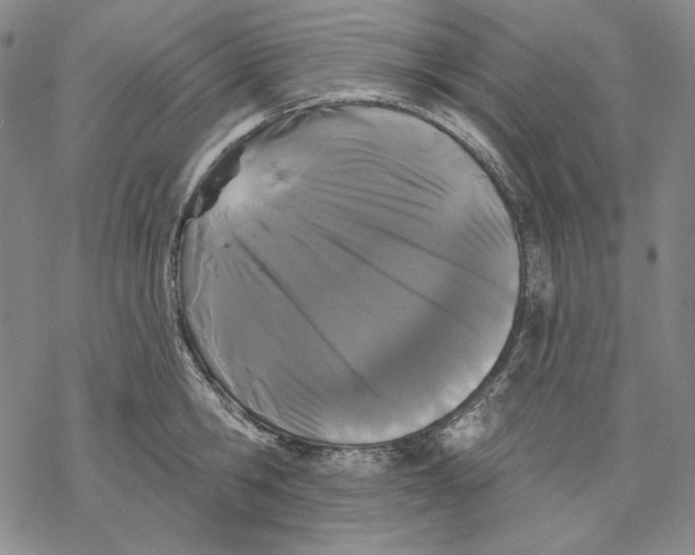 X0000068770806200605191647