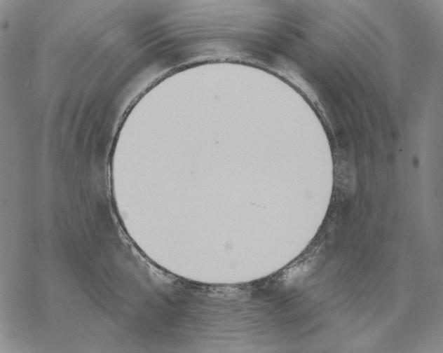 X0000068770807200605191647