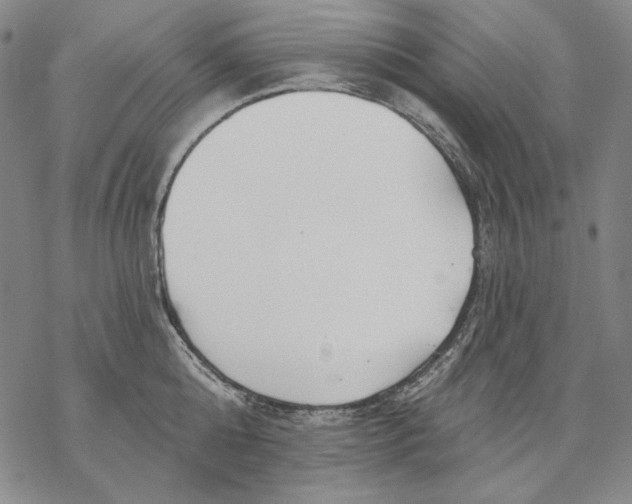 X0000068770808200605191647