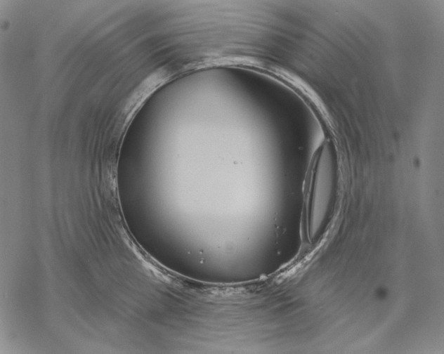 X0000068770809200605191647