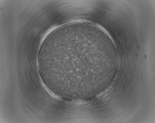 X0000068770811200605191647