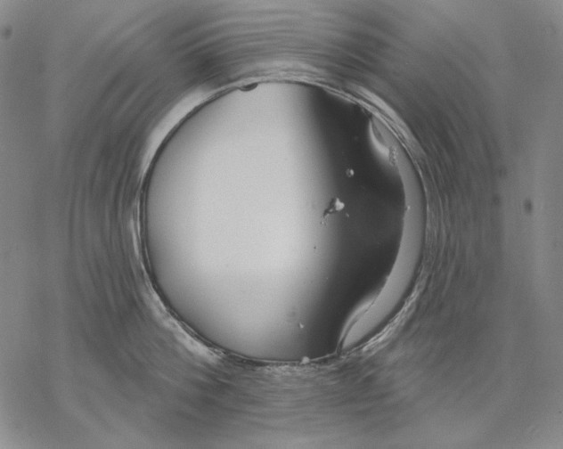 X0000068770812200605191647