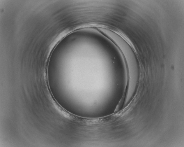 X0000068770813200605191646