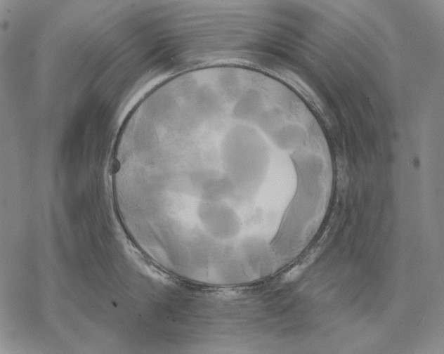 X0000068770814200605191646