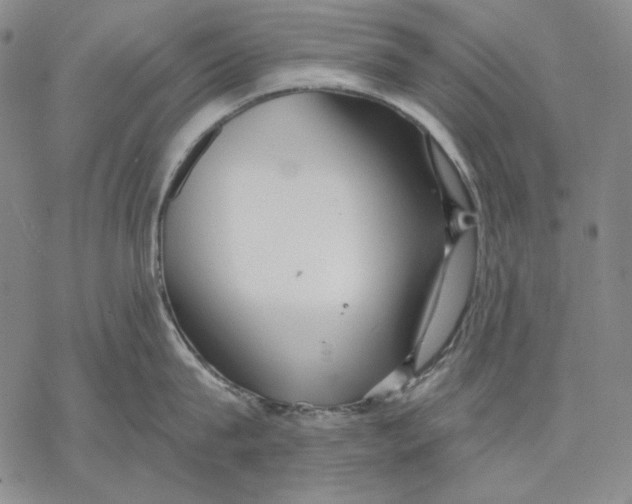 X0000068770815200605191646