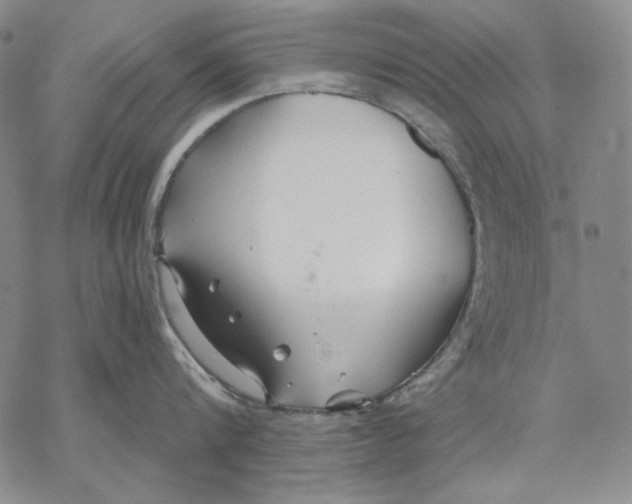 X0000068770816200605191646