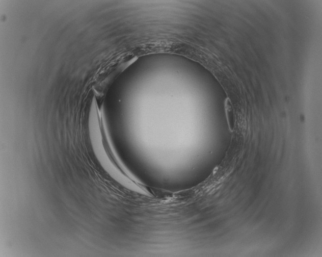 X0000068770818200605191646