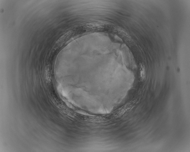 X0000068770819200605191646