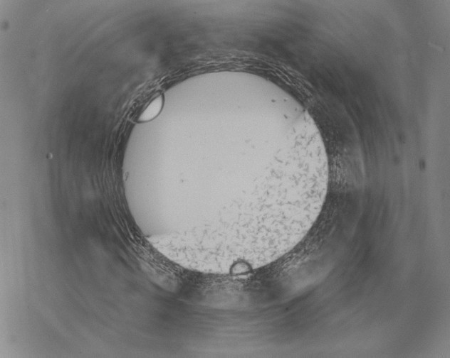 X0000068770820200605191646