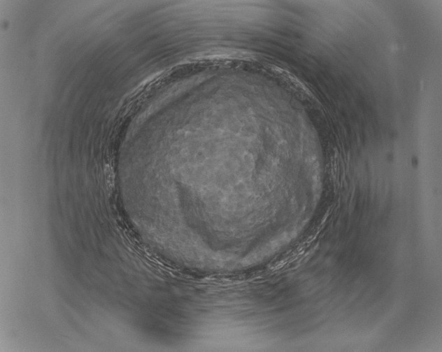 X0000068770821200605191646