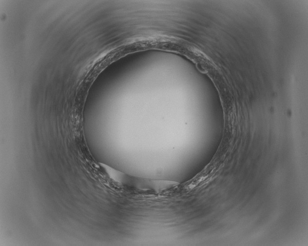 X0000068770822200605191646